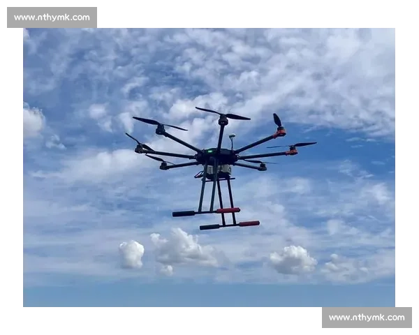 多维视角下的高中生杜某:成长、挑战与突破 多维视角下的高中生杜某:成长、挑战与突破